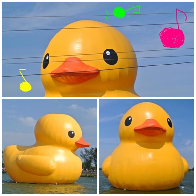 duck.jpg